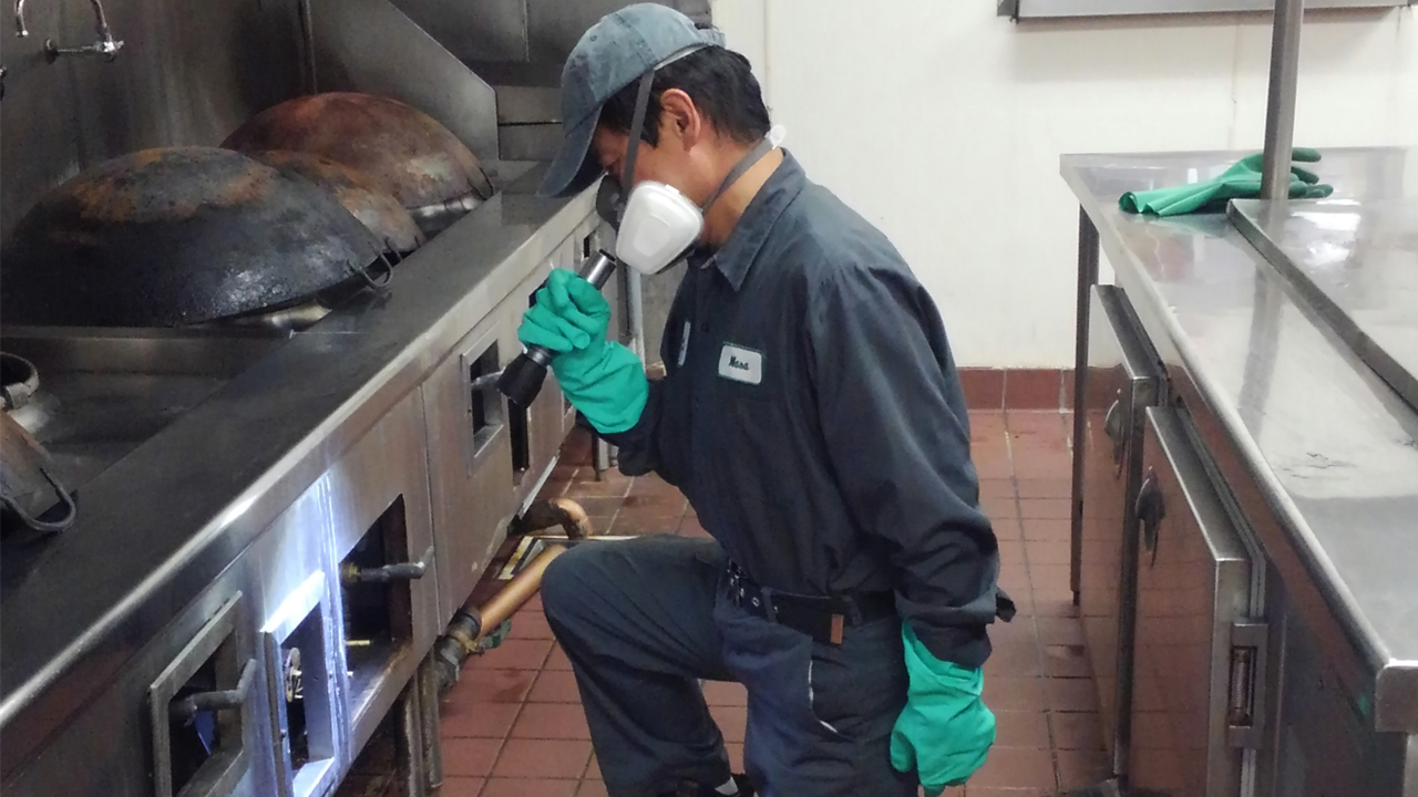 Cats USA staff for pest control inspection in restaurant