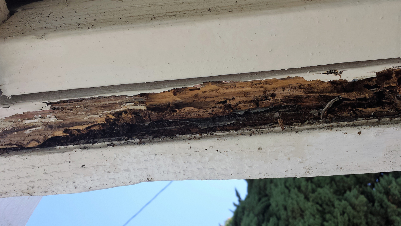 A house eaten by termites