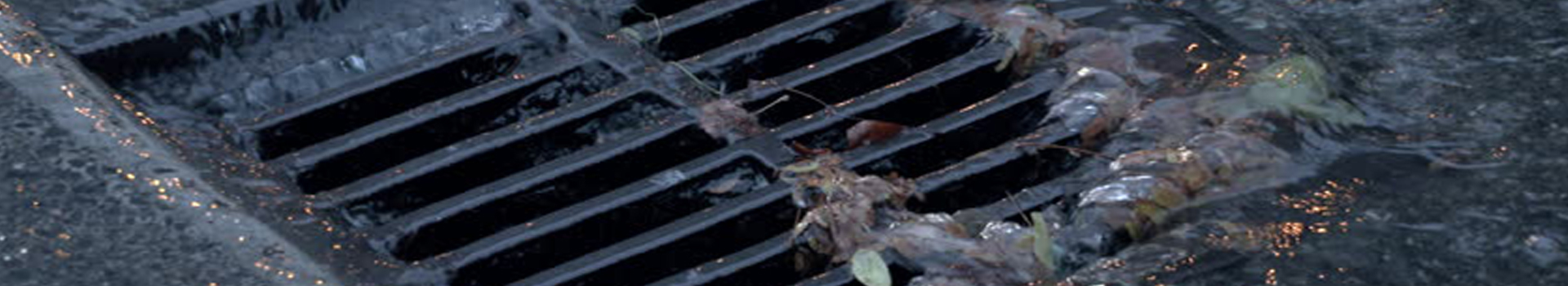 Pests We Treat - Broken Grease Trap Causes Drain Fly Problem in Rumson, NJ